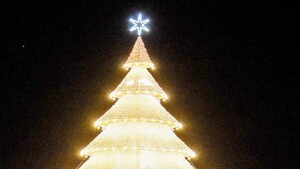 Gigante árbol navideño ilumina a Bella Vista