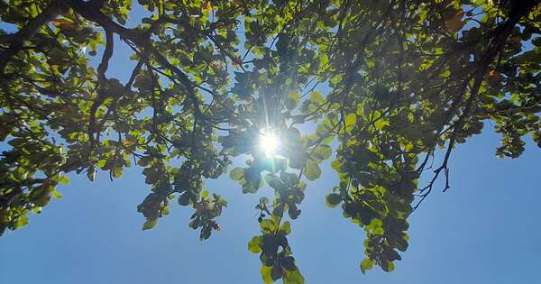 Diario HOY | Ambiente caluroso para hoy, descenso y lluvias mañana