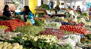 Precios mundiales de los alimentos caen en octubre por abundancia de suministros, según la FAO