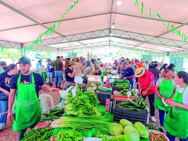 MAG Lanza App para Reducir Intermediación Agrícola