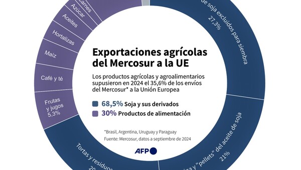La UE ve al Mercosur como aliado para eludir la guerra comercial