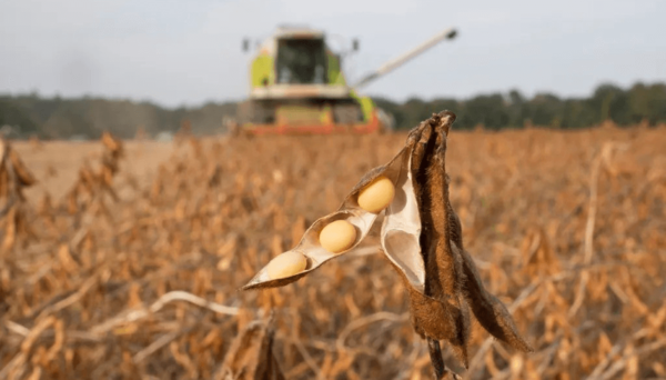 Paraguay, Argentina, Brasil acusan a Europa de «obligaciones extraterritoriales»