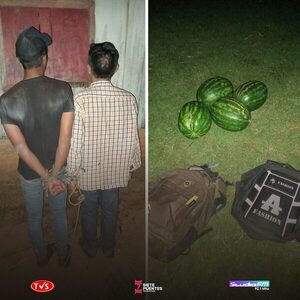 DOS HOMBRES DETENIDOS POR ROBO DE SANDÍAS EN ALTO VERÁ - «TVS DIGITAL»