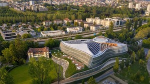 COI prepara prohibición de deportistas transgénero en categorías femeninas a partir de 2026