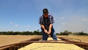 Campaña sojera 2025/2026: producción podría superar los 10,5 millones de toneladas