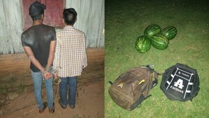 Robaron sandías y terminaron reducidos por el propio dueño de la chacra