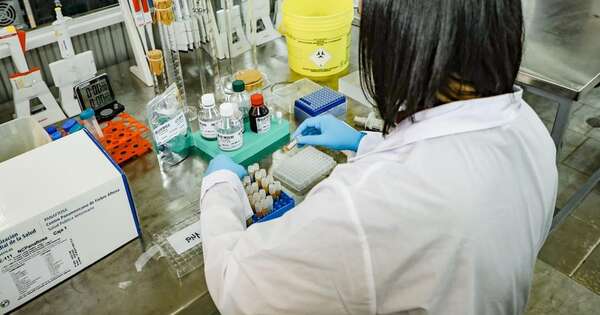 La Nación / Culminó muestreo para demostrar ausencia de influenza aviar y enfermedad de Newcastle