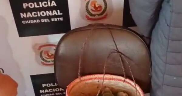 La Nación / Aprehenden a una mujer Ava Guaraní por comercialización de loros