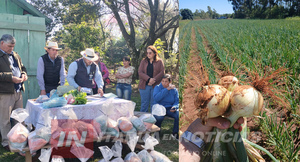 BUENA EVOLUCIÓN DE CULTIVOS CON SEMILLAS ENTREGADAS POR LA GOBERNACIÓN