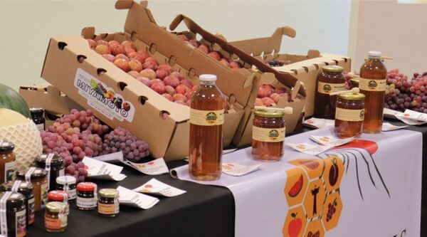 Agroindustria cooperativa: CAICA desarrolla una línea innovadora de frutas deshidratadas