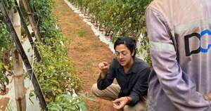 La Nación / Israel fortalece su cooperación agrícola e innovación con el país