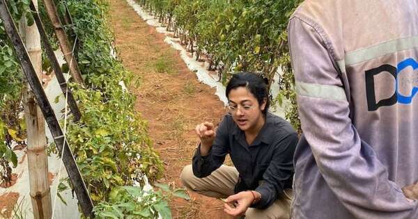 La Nación / Israel fortalece su cooperación agrícola e innovación con el país