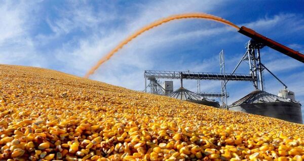 Tailandia importará maíz desde EE.UU con arancel cero