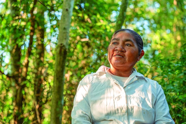Teodora Vera: Lideresa Avá Guaraní y Agroforestería