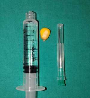 Popular / ¡Le salvaron!: Mitã'i de 4 años omokô grano de maíz