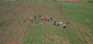 Campesinos de San Pedro anuncian que el 5 de diciembre invadirán tierras de Senabico - Nacionales - ABC Color