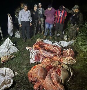 Condenan a dos abigeos en Concepción - Concepción al Día