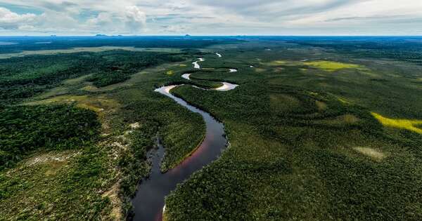 América Latina se prepara para su gran salto verde