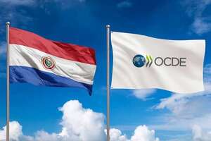 De Asunción al mundo: el camino de Paraguay hacia la OCDE - Negocios - ABC Color