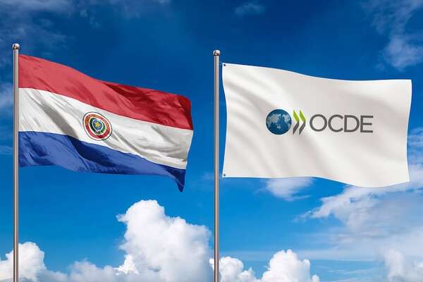 De Asunción al mundo: el camino de Paraguay hacia la OCDE - Negocios - ABC Color