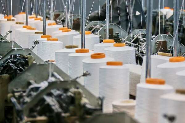 A setiembre, la actividad Económica creció 5,8%  - Negocios - ABC Color