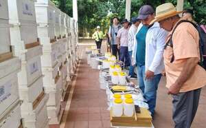 Apicultores de Cerrito y Laureles reciben insumos para fortalecer la producción