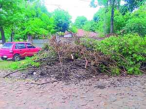 Ramas Cortadas por ANDE Quedan Abandonadas en Veredas
