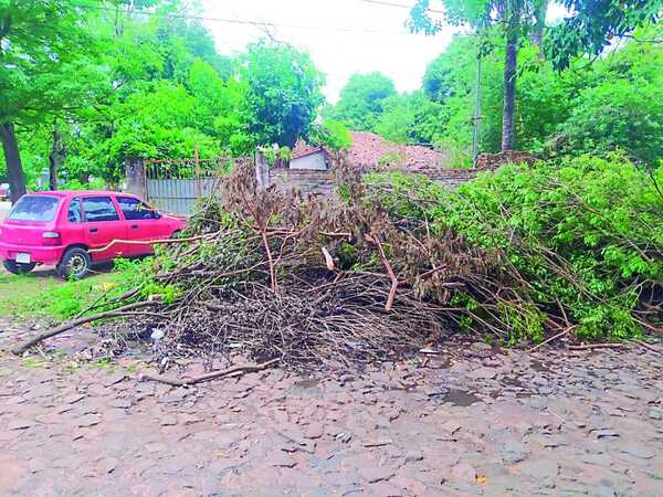 Ramas Cortadas por ANDE Quedan Abandonadas en Veredas