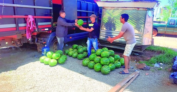 Sandías de Itapúa Crecen con Calidad y Asistencia MAG