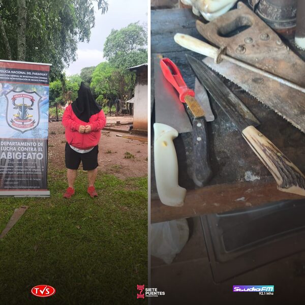 ALLANAMIENTO EN ENCARNACIÓN: DETIENEN A HOMBRE POR PRESUNTO ABIGEATO Y SECUESTRAN EVIDENCIAS - «TVS DIGITAL»