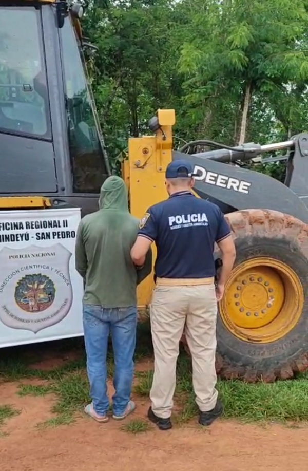 Popular / Con su tractor "amarillo" tumbaba árboles en reserva forestal