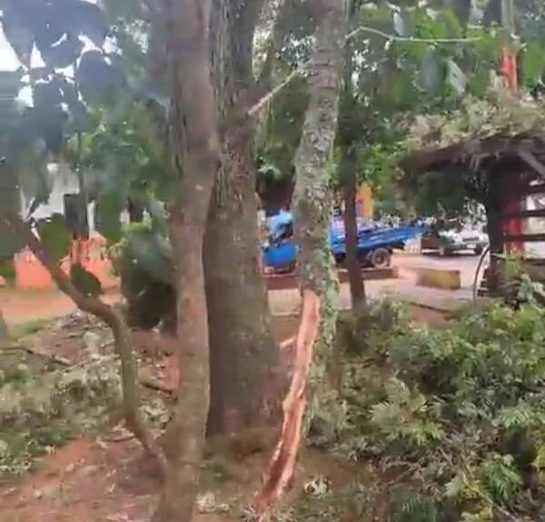 Rayo habría provocado incendio en la ex radio 3 de Febrero, actual secretaria de turismo de Ita