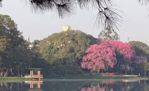 Las lluvias con tormentas eléctricas se extenderían hasta el sábado