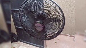 Debía el alquiler y acusó al casero de llevarse sus cosas