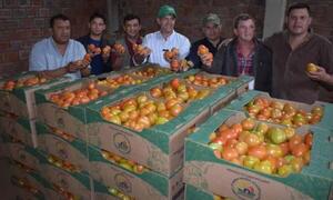 Productores de Caaguazú reiniciaron exportación de tomates con envío de 90.000 kilos a la Argentina – Prensa 5