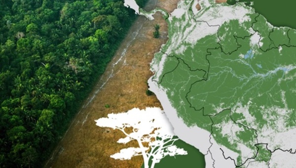 La Amazonía enfrenta una degradación acelerada que preocupa al mundo