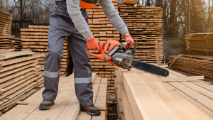 Así evolucionaron las exportaciones forestales de Paraguay entre 2021 y 2025 - MarketData