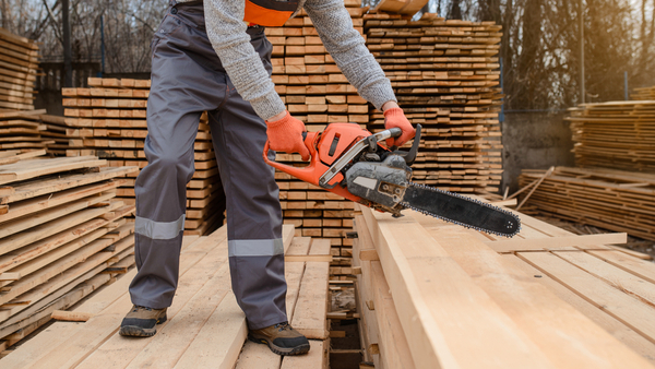 Así evolucionaron las exportaciones forestales de Paraguay entre 2021 y 2025 - MarketData