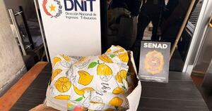 Diario HOY | Interceptan casi 5 kilos de marihuana marroquí en envío postal en el aeropuerto