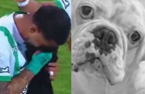 Popular / Jugador lloró a mares al dedicar su gol a su firulais que murió unos días antes