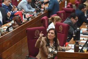 PGN 2026: aumento para fiscales pidió la diputada Abed, cuya hermana es adjunta en el Ministerio Público - Economía - ABC Color