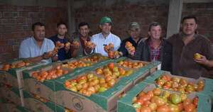 La Nación / Reactivan exportaciones de tomate de alta calidad a Argentina