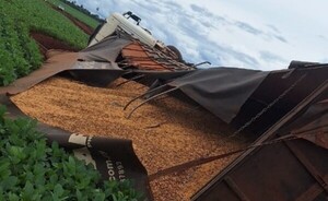 Camión cargado con soja vuelca en Minga Porã 