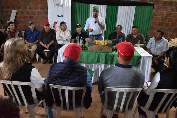 Gremio impulsa exportaciones de tomate y critica al Gobierno por atribuirse el mérito  - Economía - ABC Color