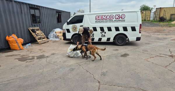 La Nación / Detectan presunta marihuana marroquí en encomienda hallada en aeropuerto