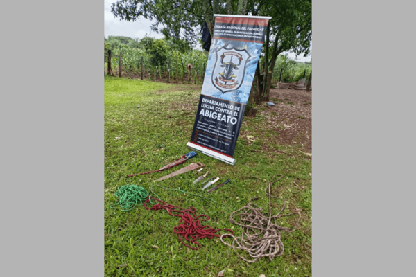 Fiscal encabezó nuevo allanamiento en prosecución a investigación por abigeato