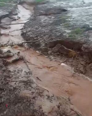 Lluvias dejan intransitable el camino rural en Roberto L. Petit - Concepción al Día