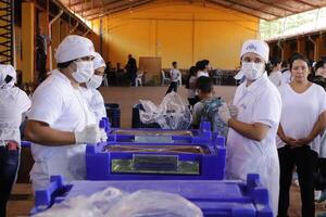 Senador alerta por retrasos críticos que ponen en jaque al programa Hambre Cero