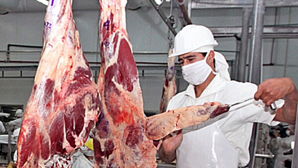 MAG busca fortalecer mataderos ante aumento del precio de carne bovina
