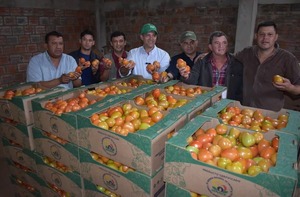 Una buena planificación y trabajar con productores reales, clave para exportar tomates a Argentina